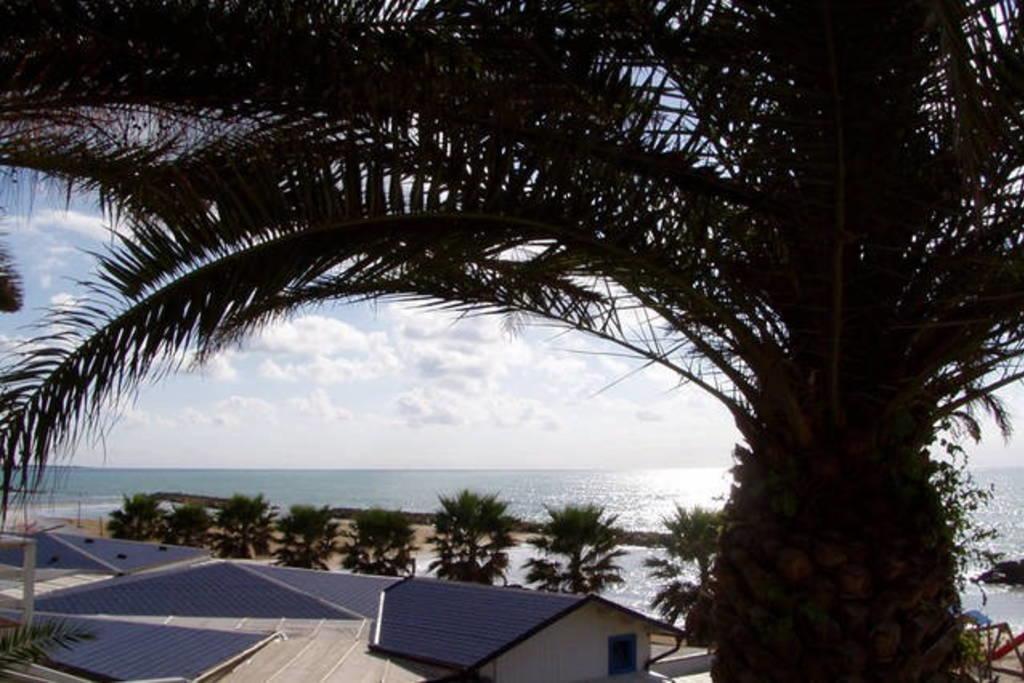 Bilocale Scoglitti Nei Luoghi Di Montalbano Apartment Exterior foto