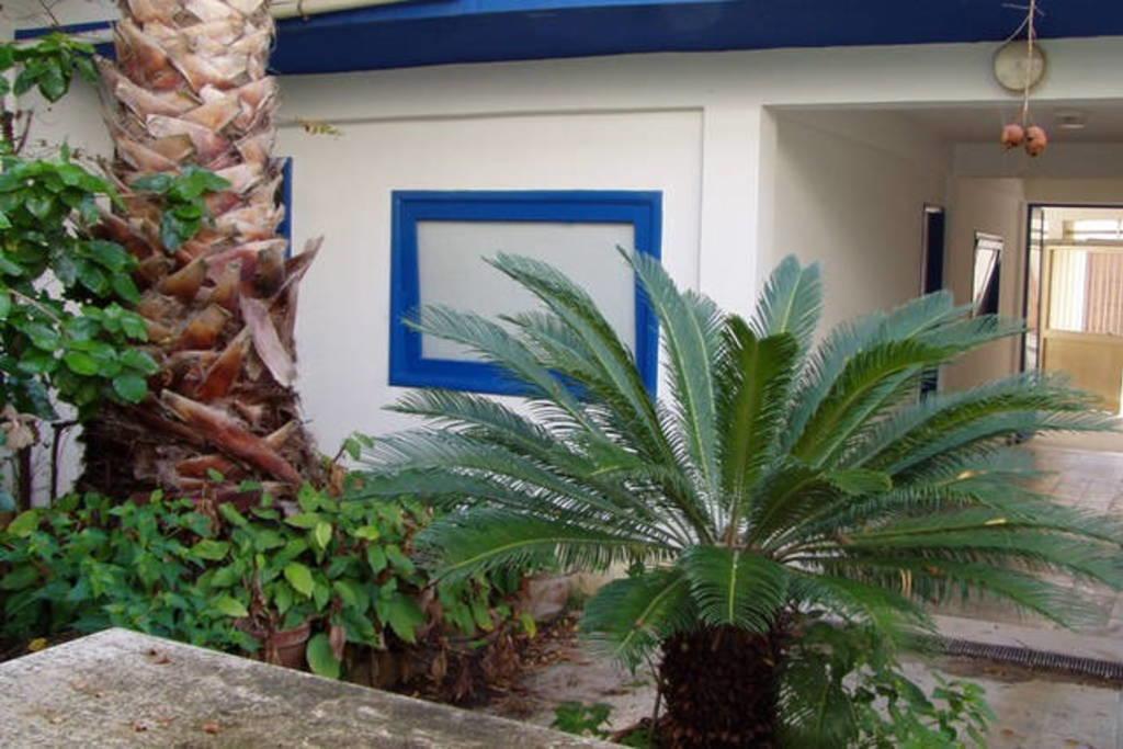 Bilocale Scoglitti Nei Luoghi Di Montalbano Apartment Exterior foto
